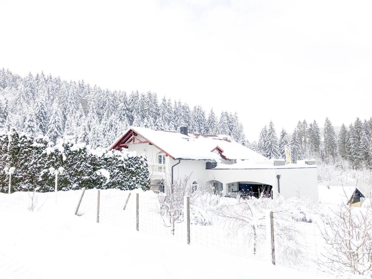 Private Villa Zwettl an der Rodl Екстериор снимка